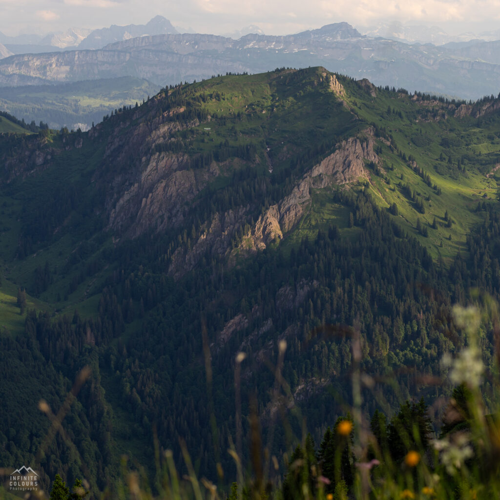 Buralpkopf_Nagelfluhkette_Sonnenuntergang_Wanderung_Landschaftsfotografie_Rindalphorn_Hochgrat_Oberallgäu_Fotografie