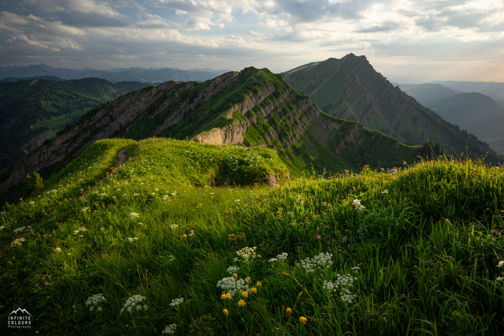 Buralpkopf_Nagelfluhkette_Sonnenuntergang_Wanderung_Landschaftsfotografie_Rindalphorn_Hochgrat_Oberallgäu_Fotografie