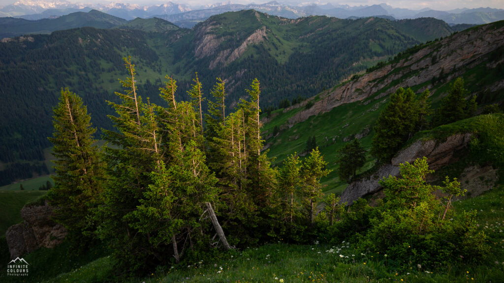 Buralpkopf_Nagelfluhkette_Sonnenuntergang_Wanderung_Landschaftsfotografie_Rindalphorn_Hochgrat_Oberallgäu_Fotografie