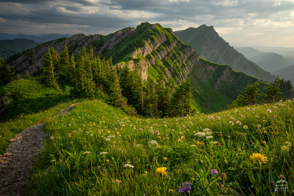 Buralpkopf_Nagelfluhkette_Sonnenuntergang_Wanderung_Landschaftsfotografie_Rindalphorn_Hochgrat_Oberallgäu_Fotografie