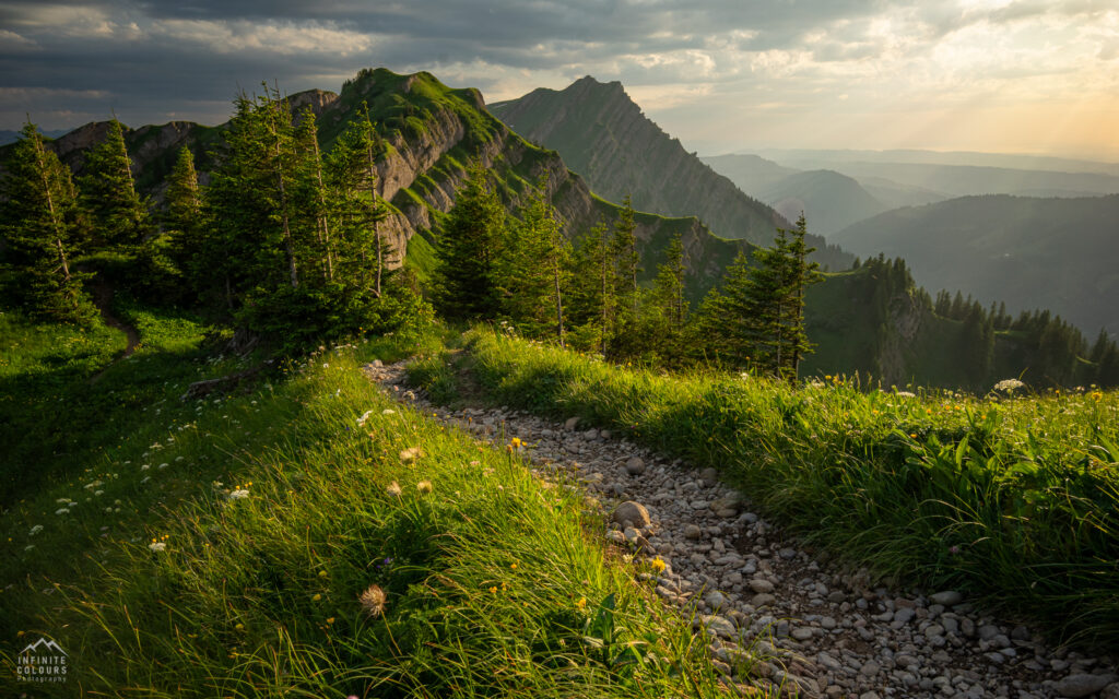 Buralpkopf_Nagelfluhkette_Sonnenuntergang_Wanderung_Landschaftsfotografie_Rindalphorn_Hochgrat_Oberallgäu_Fotografie