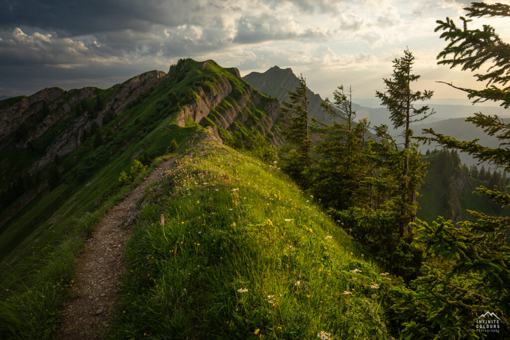 Buralpkopf_Nagelfluhkette_Sonnenuntergang_Wanderung_Landschaftsfotografie_Rindalphorn_Hochgrat_Oberallgäu_Fotografie