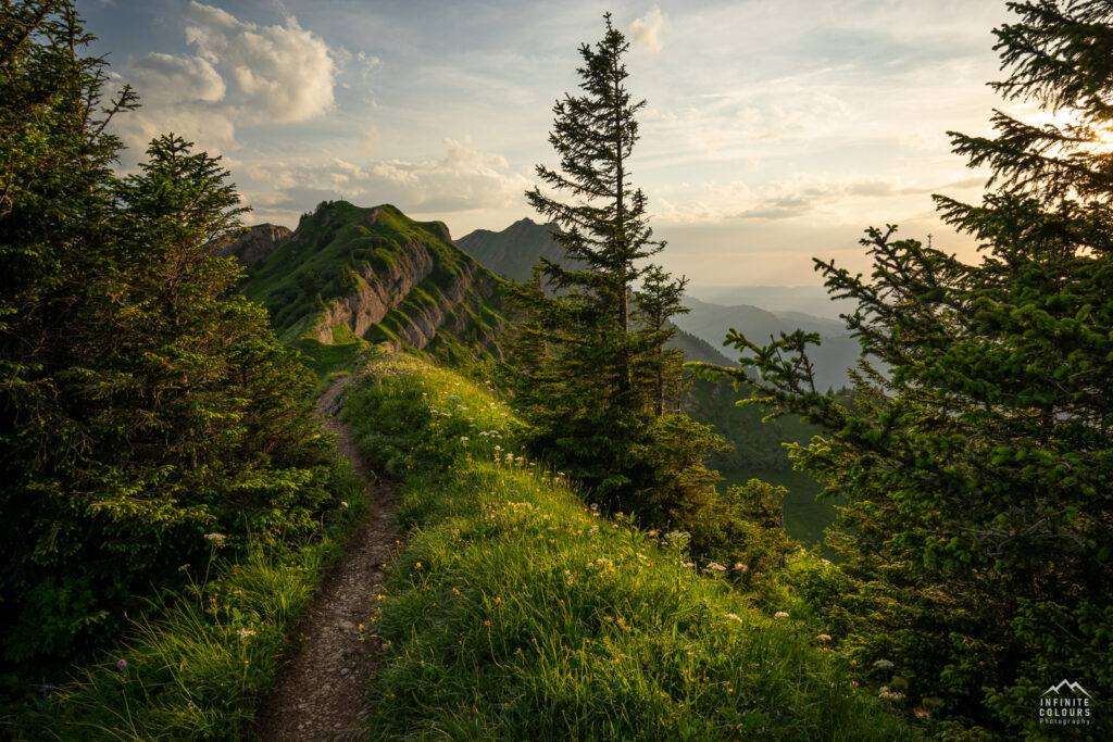 Buralpkopf_Nagelfluhkette_Sonnenuntergang_Wanderung_Landschaftsfotografie_Rindalphorn_Hochgrat_Oberallgäu_Fotografie