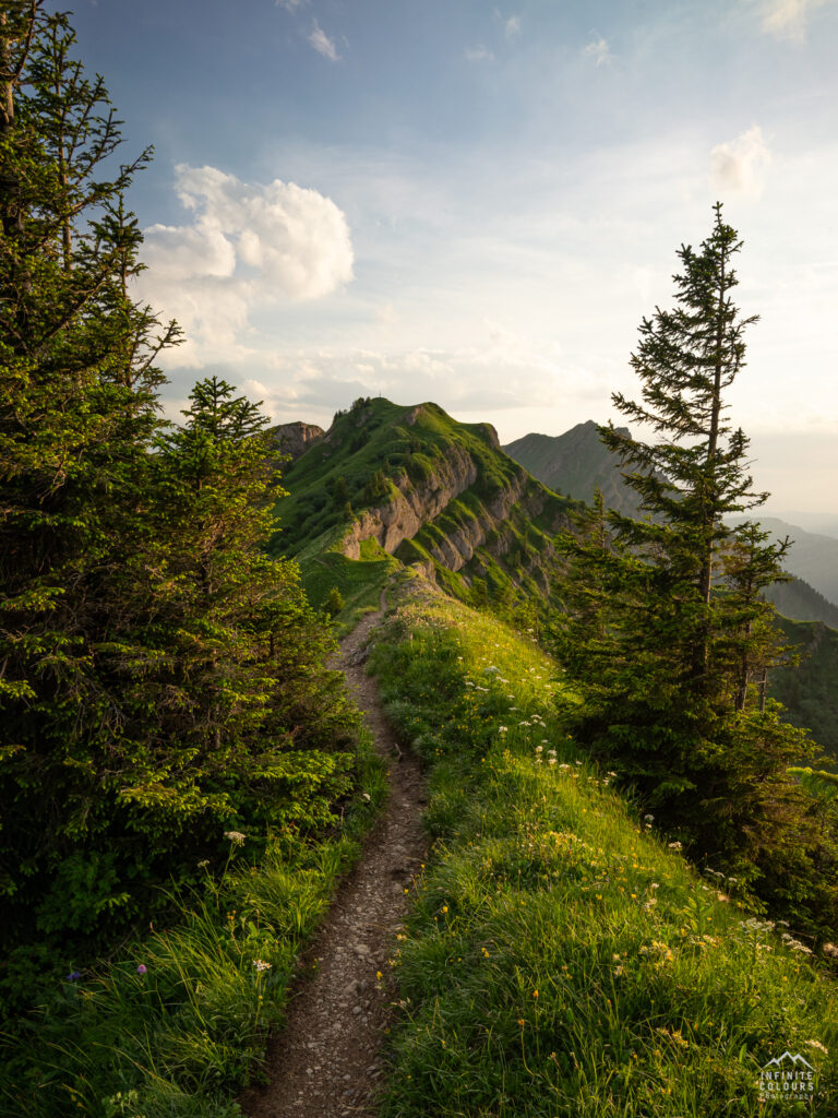 Buralpkopf_Nagelfluhkette_Sonnenuntergang_Wanderung_Landschaftsfotografie_Rindalphorn_Hochgrat_Oberallgäu_Fotografie