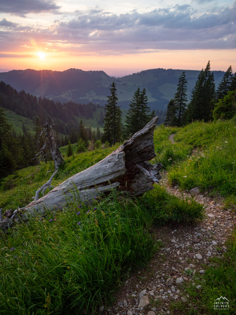 Buralpkopf_Nagelfluhkette_Sonnenuntergang_Wanderung_Landschaftsfotografie_Rindalphorn_Hochgrat_Oberallgäu_Fotografie