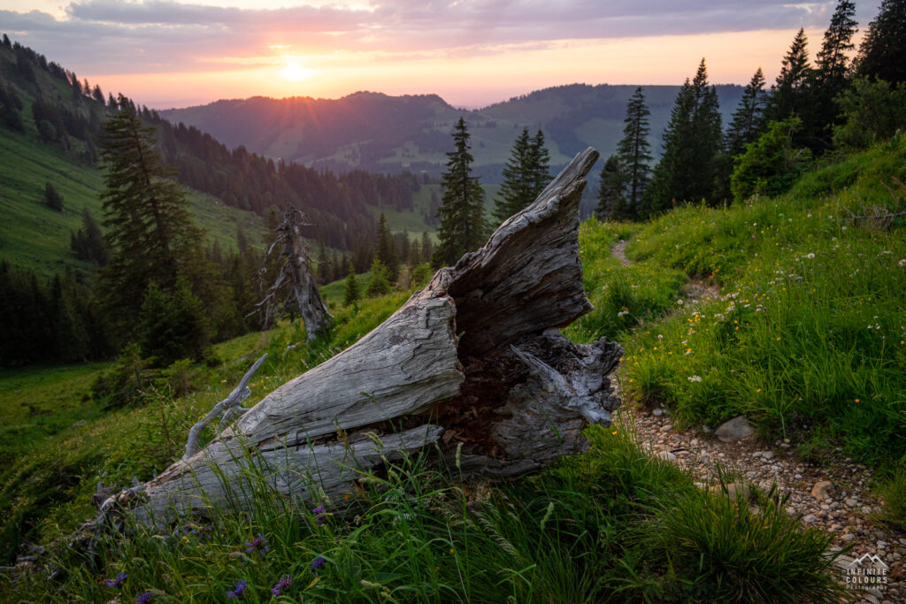 Buralpkopf_Nagelfluhkette_Sonnenuntergang_Wanderung_Landschaftsfotografie_Rindalphorn_Hochgrat_Oberallgäu_Fotografie